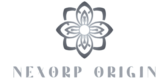 Nexorp Origin Logo